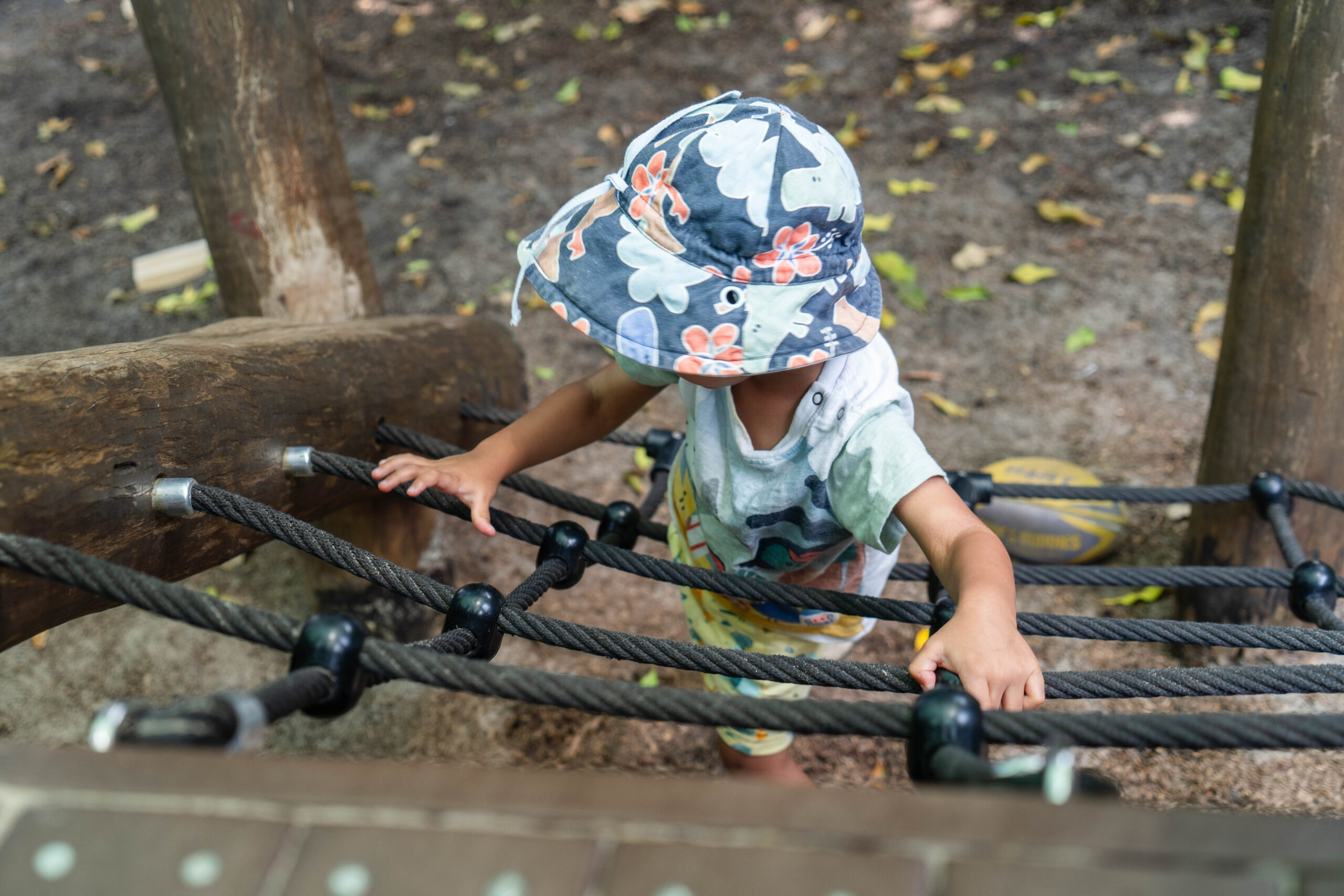 Climbing at Kenmore Hills Early Learning